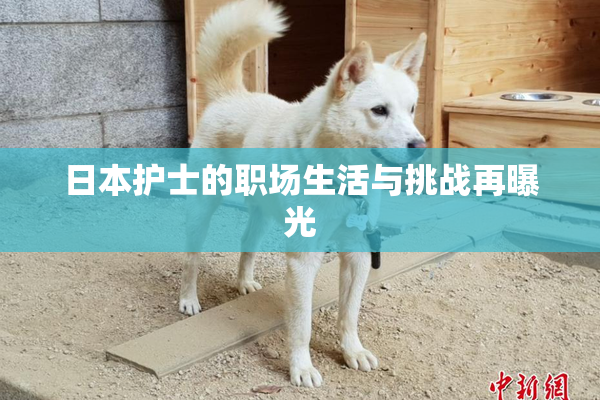 日本护士的职场生活与挑战再曝光