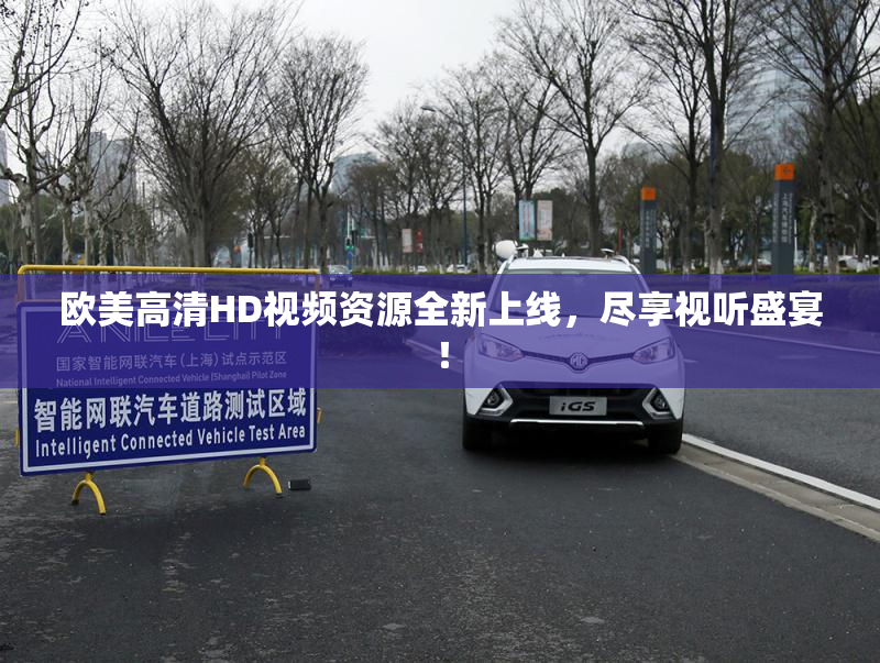 欧美高清HD视频资源全新上线，尽享视听盛宴！