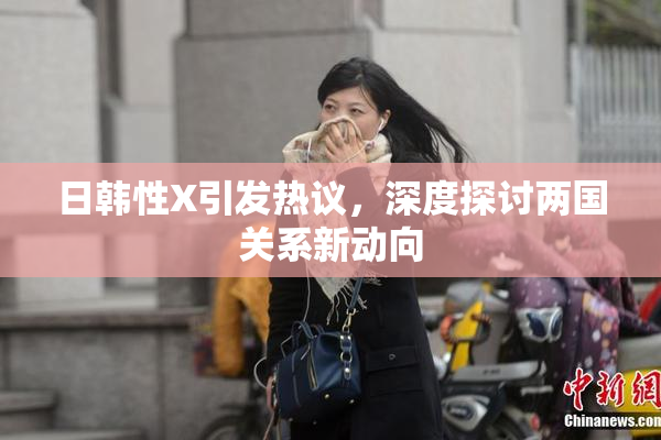 日韩性X引发热议，深度探讨两国关系新动向