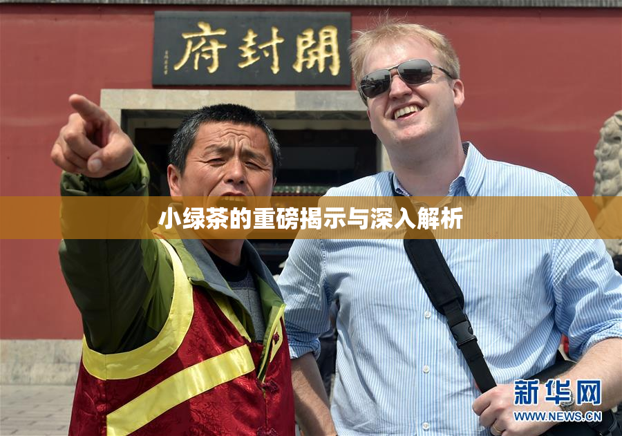 小绿茶的重磅揭示与深入解析