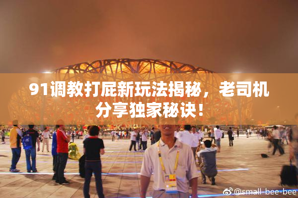 91调教打屁新玩法揭秘，老司机分享独家秘诀！