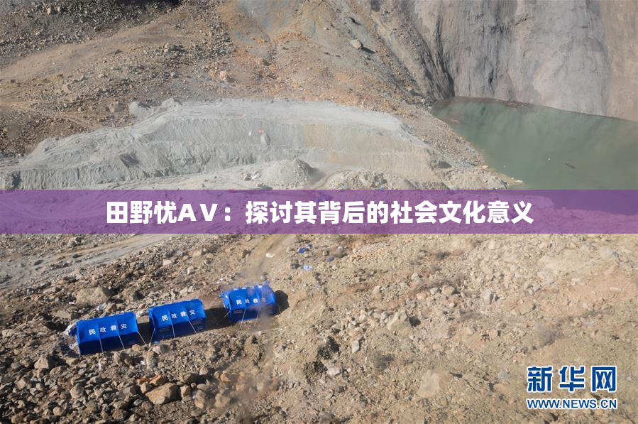 田野忧AⅤ：探讨其背后的社会文化意义