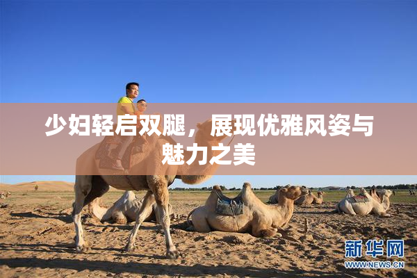 少妇轻启双腿，展现优雅风姿与魅力之美