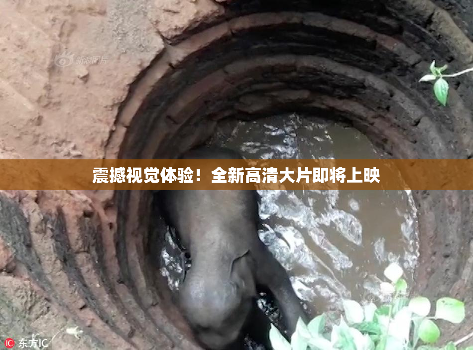 震撼视觉体验！全新高清大片即将上映