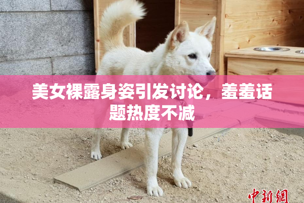 美女裸露身姿引发讨论，羞羞话题热度不减