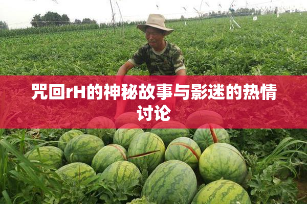 咒回rH的神秘故事与影迷的热情讨论
