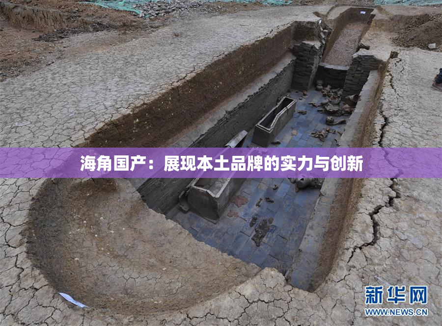 海角国产：展现本土品牌的实力与创新