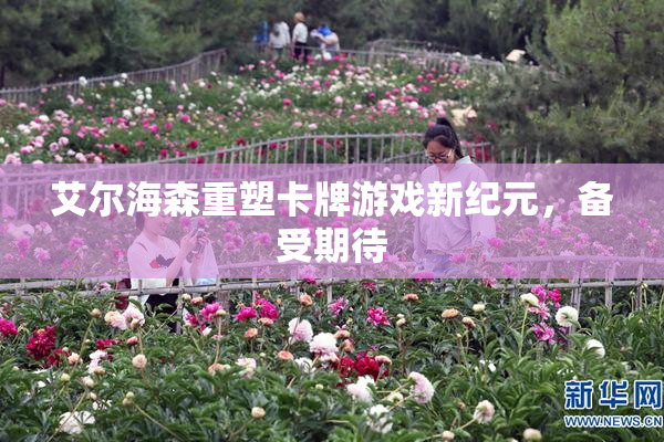 艾尔海森重塑卡牌游戏新纪元，备受期待