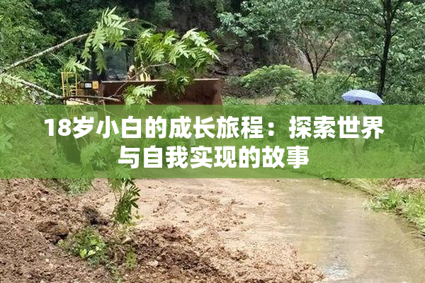 18岁小白的成长旅程：探索世界与自我实现的故事