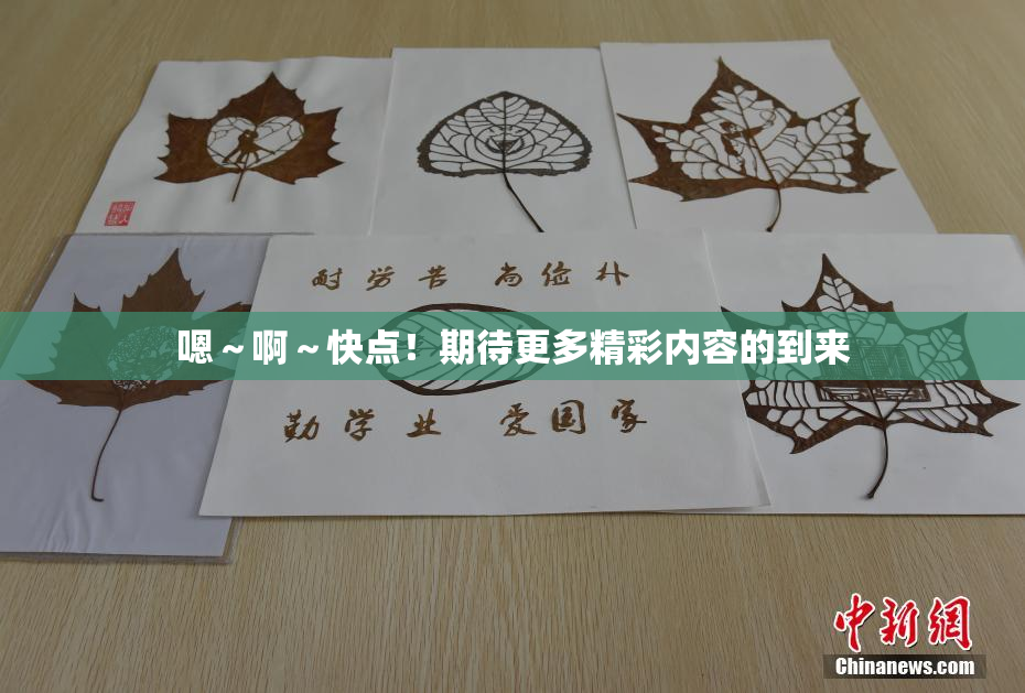 嗯～啊～快点！期待更多精彩内容的到来