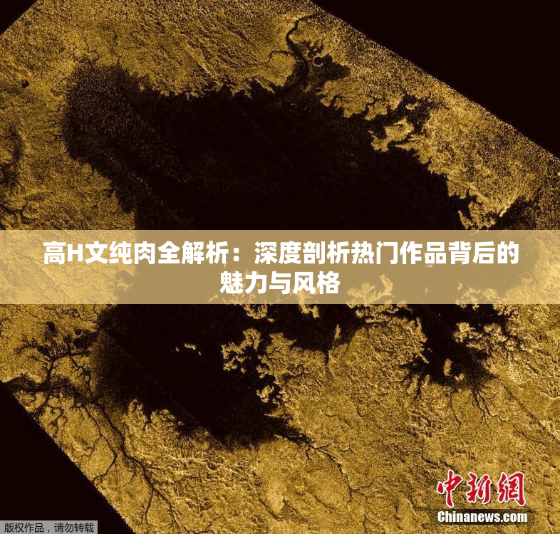 高H文纯肉全解析：深度剖析热门作品背后的魅力与风格