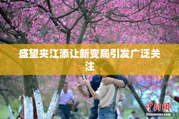 盛望夹江添让新变局引发广泛关注