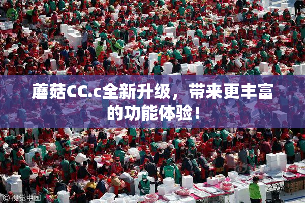 蘑菇CC.c全新升级，带来更丰富的功能体验！