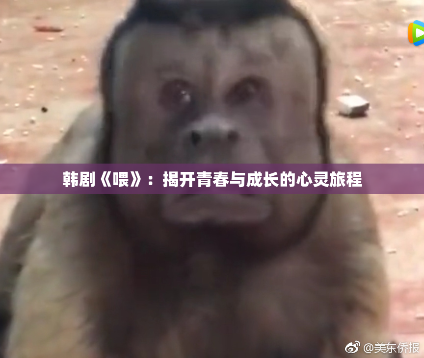 韩剧《喂》：揭开青春与成长的心灵旅程