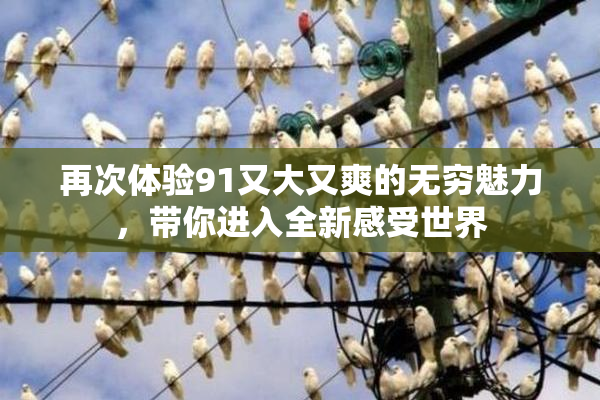 再次体验91又大又爽的无穷魅力，带你进入全新感受世界