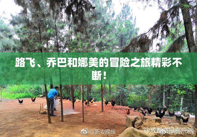 路飞、乔巴和娜美的冒险之旅精彩不断！