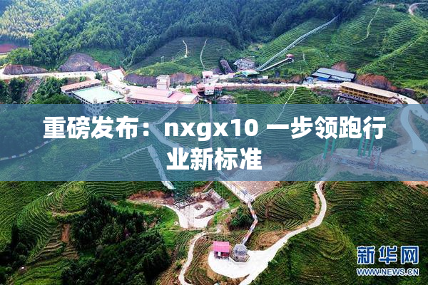 重磅发布：nxgx10 一步领跑行业新标准