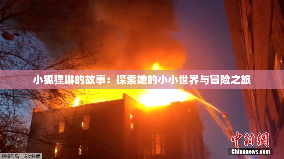 小狐狸琳的故事：探索她的小小世界与冒险之旅