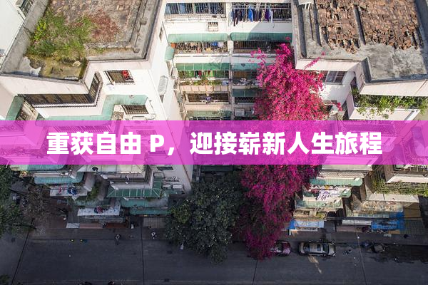 重获自由 P，迎接崭新人生旅程