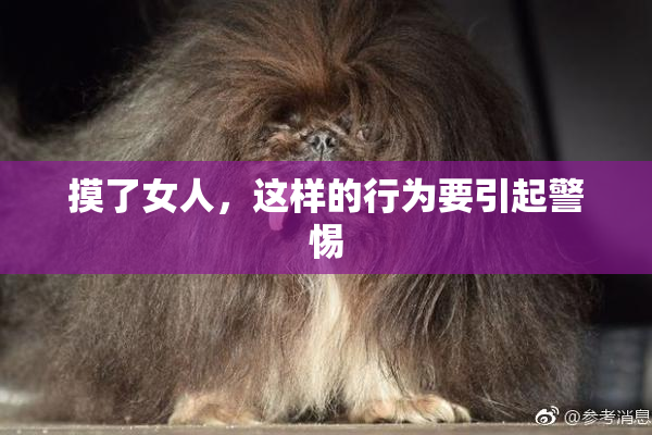 摸了女人，这样的行为要引起警惕