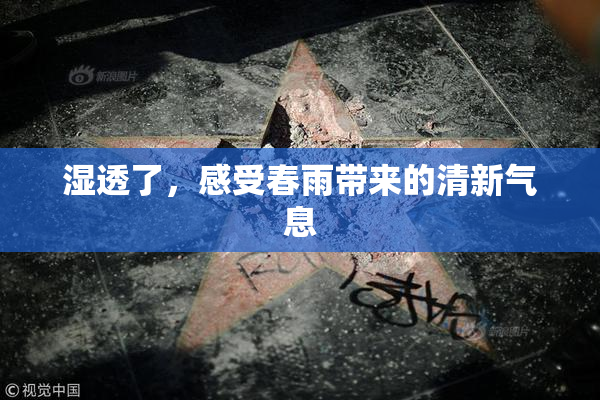 湿透了，感受春雨带来的清新气息