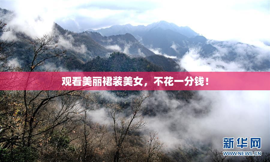 观看美丽裙装美女，不花一分钱！