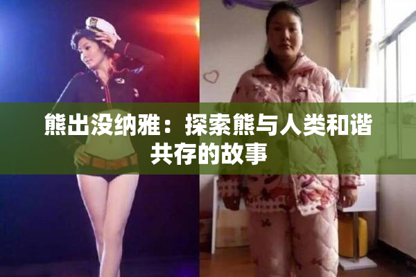 熊出没纳雅：探索熊与人类和谐共存的故事