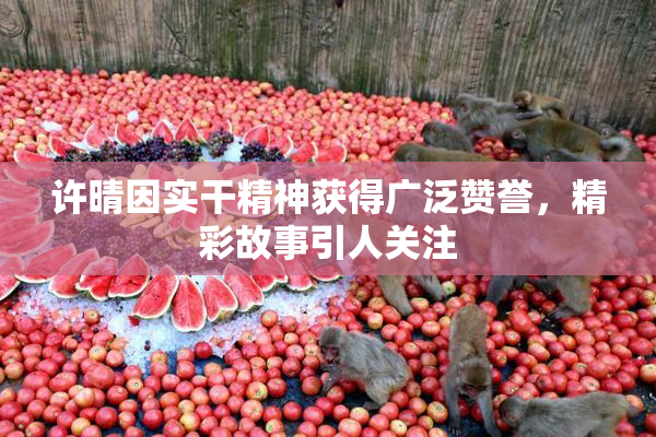 许晴因实干精神获得广泛赞誉，精彩故事引人关注