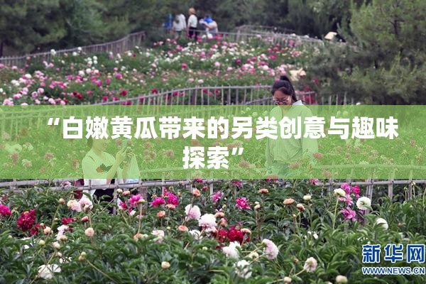 “白嫩黄瓜带来的另类创意与趣味探索”