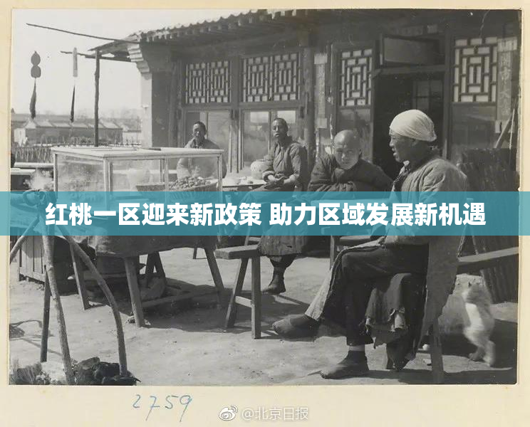 红桃一区迎来新政策 助力区域发展新机遇