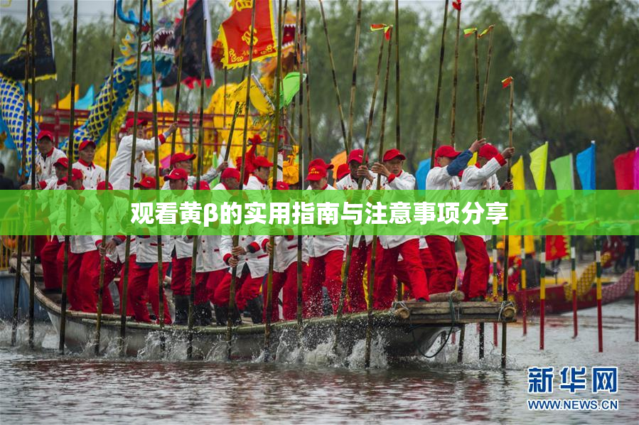 观看黄β的实用指南与注意事项分享