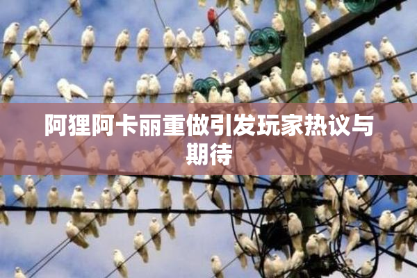 阿狸阿卡丽重做引发玩家热议与期待