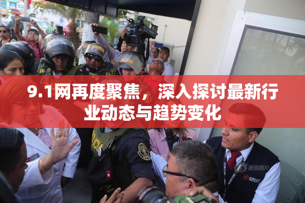 9.1网再度聚焦，深入探讨最新行业动态与趋势变化