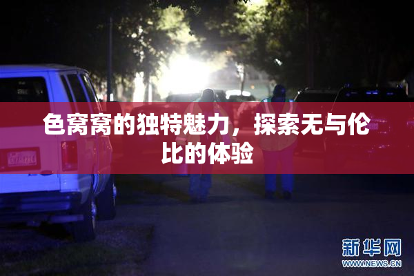 色窝窝的独特魅力，探索无与伦比的体验