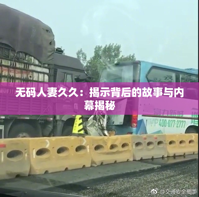 无码人妻久久：揭示背后的故事与内幕揭秘