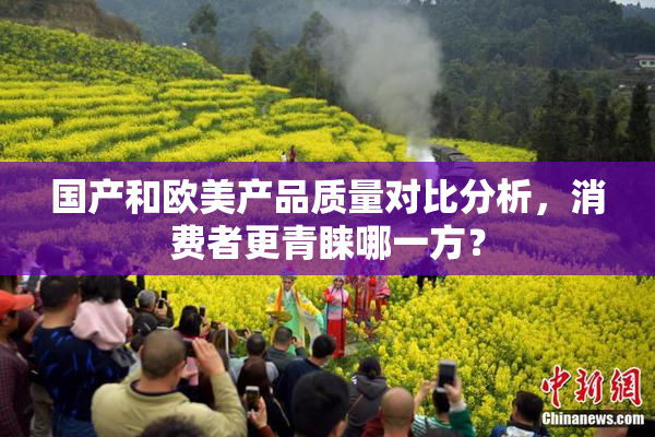 国产和欧美产品质量对比分析，消费者更青睐哪一方？
