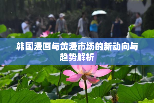 韩国漫画与黄漫市场的新动向与趋势解析