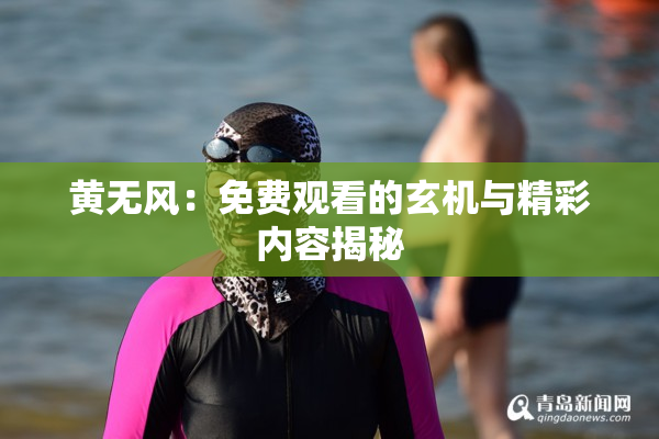 黄无风：免费观看的玄机与精彩内容揭秘