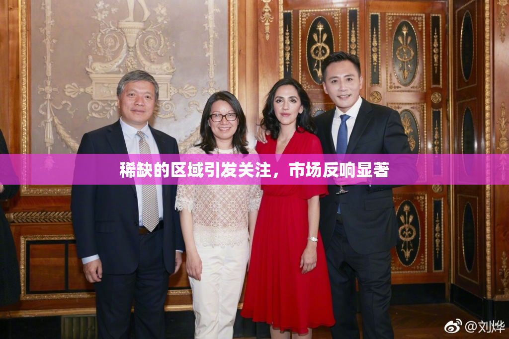 稀缺的区域引发关注，市场反响显著