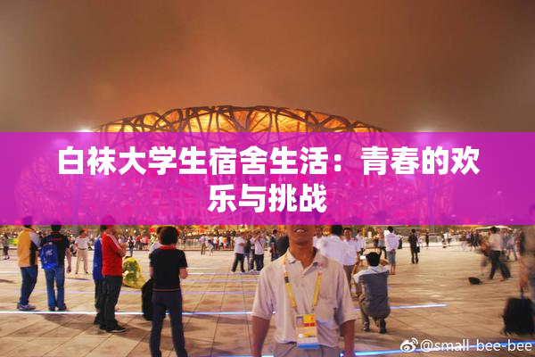 白袜大学生宿舍生活：青春的欢乐与挑战