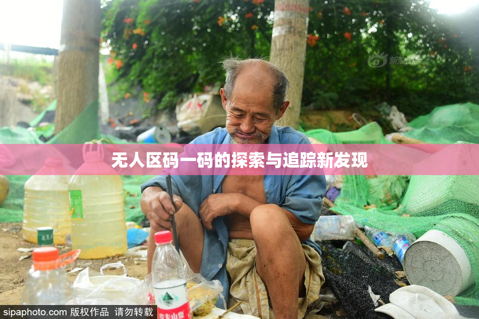 无人区码一码的探索与追踪新发现