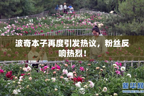 波奇本子再度引发热议，粉丝反响热烈！