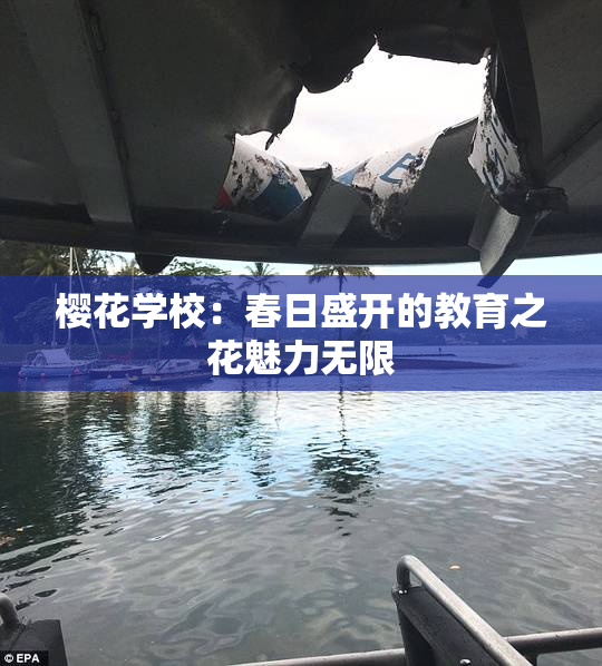 樱花学校：春日盛开的教育之花魅力无限