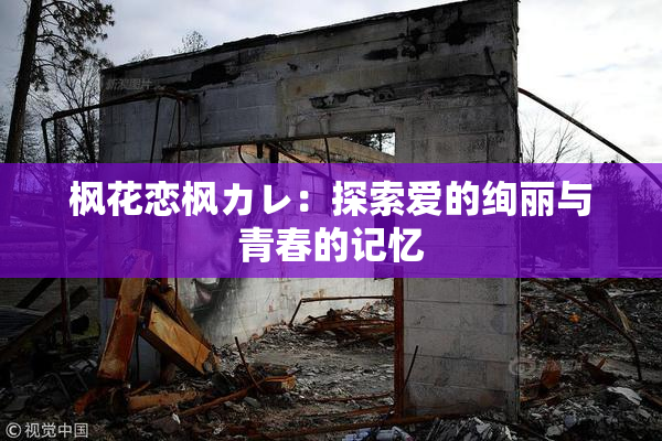 枫花恋枫カレ：探索爱的绚丽与青春的记忆
