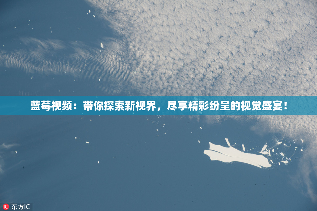蓝莓视频：带你探索新视界，尽享精彩纷呈的视觉盛宴！