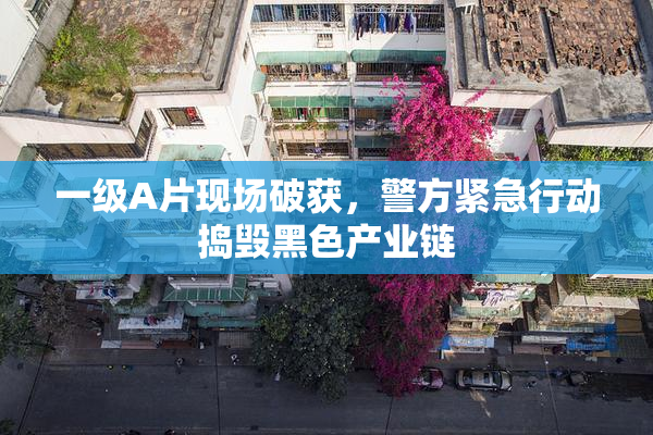 一级A片现场破获，警方紧急行动捣毁黑色产业链