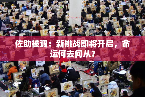 佐助被调：新挑战即将开启，命运何去何从？