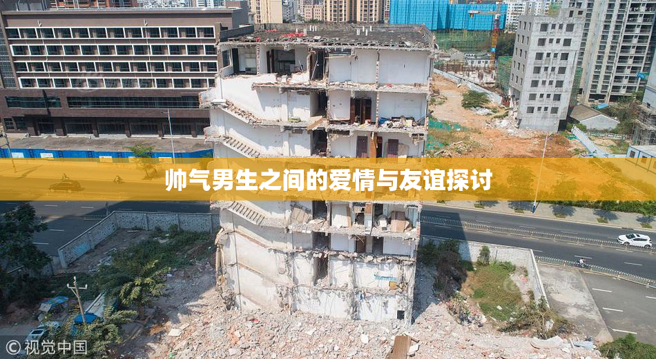 帅气男生之间的爱情与友谊探讨