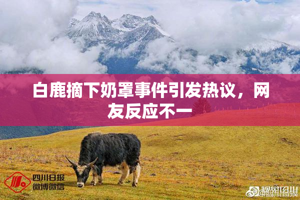 白鹿摘下奶罩事件引发热议，网友反应不一