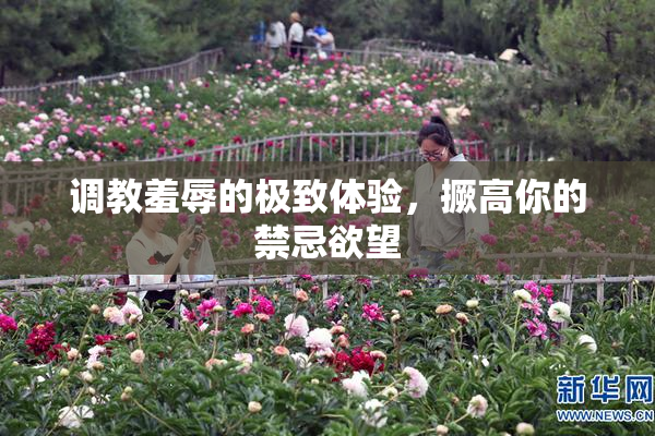 调教羞辱的极致体验，撅高你的禁忌欲望